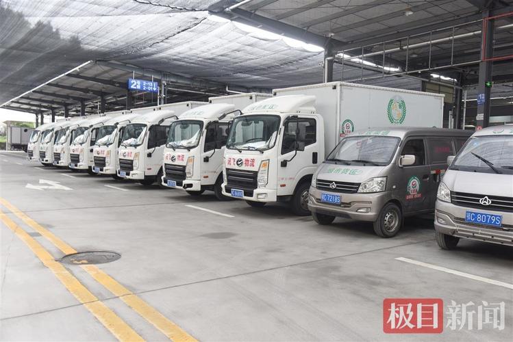綠色東風(fēng)拂江城 武漢入選綠色貨運(yùn)配送示范城市觀察