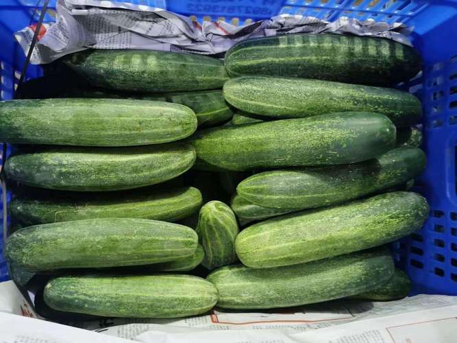 長安烏沙工廠蔬菜配送——東莞市聯旺膳食管理服務產品數量與城市配送解構